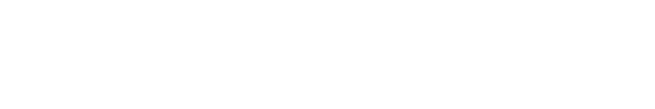mir_logo_white